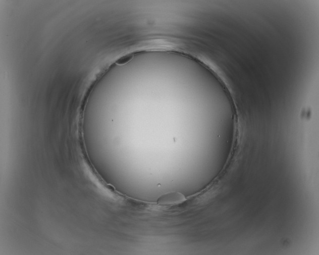 X0000112211477200908211507