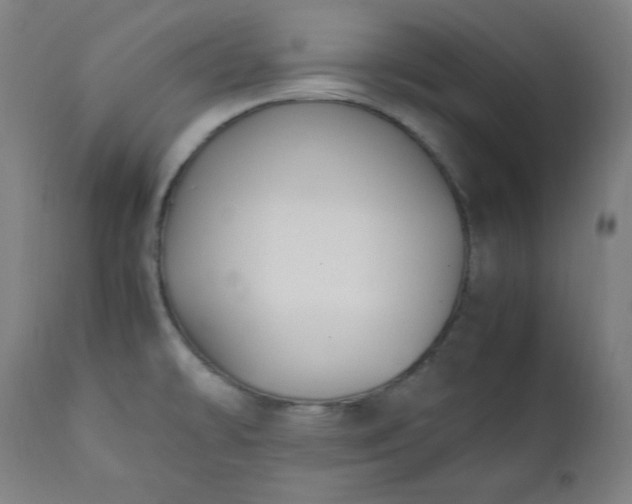 X0000112211478200908211507