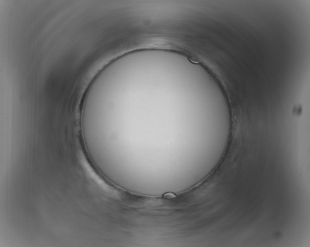 X0000112211479200908211507