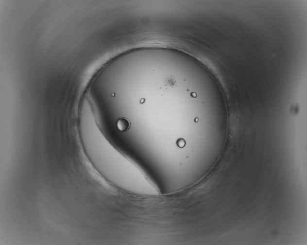 X0000112211480200908211507