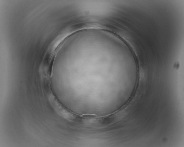 X0000112211481200908211507