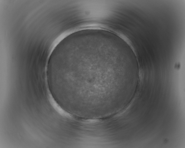 X0000112211482200908211507