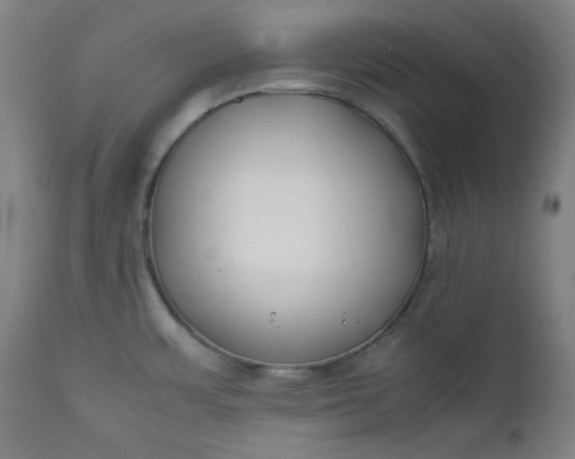 X0000112211483200908211507