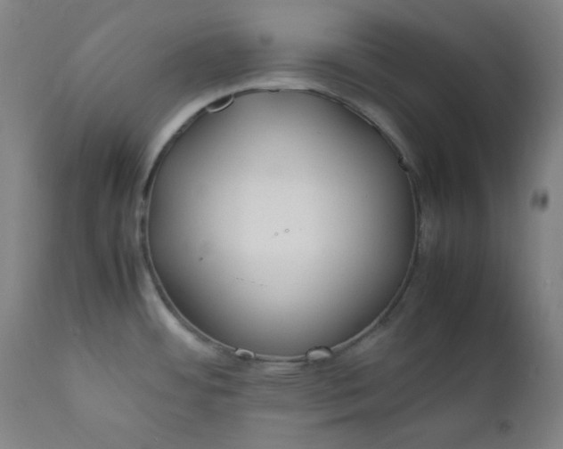 X0000112211484200908211506