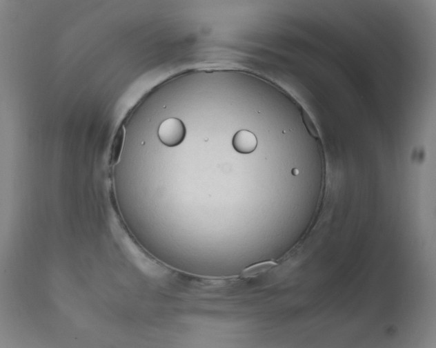 X0000112211485200908211506