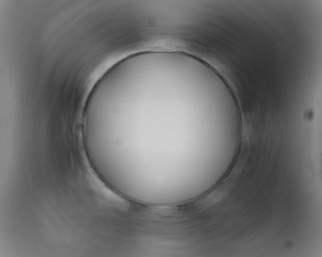 X0000112211486200908211506