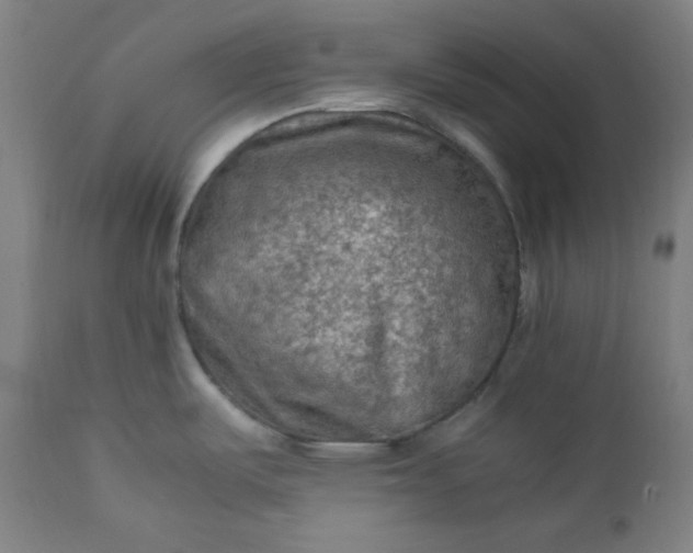 X0000112211487200908211506