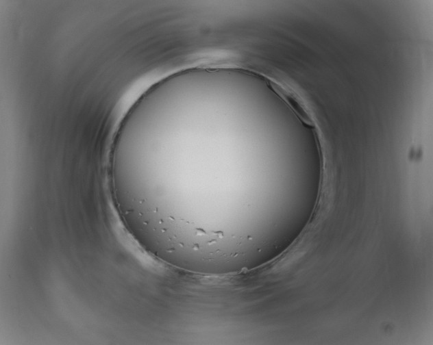 X0000112211488200908211506