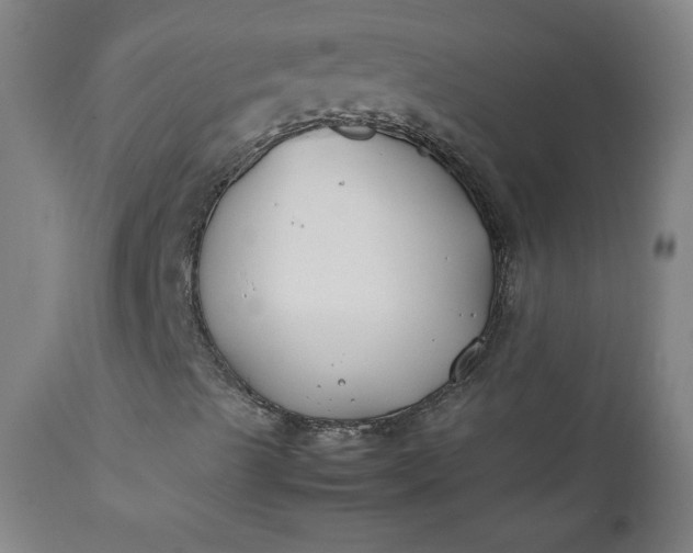 X0000112211489200908211506