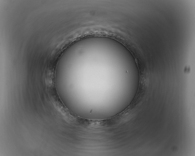 X0000112211490200908211506