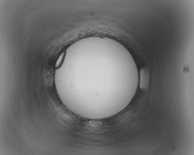 X0000112211491200908211506