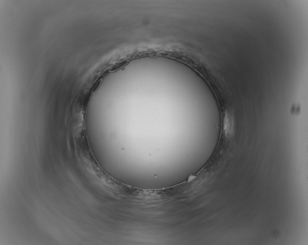 X0000112211492200908211506