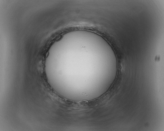 X0000112211493200908211506