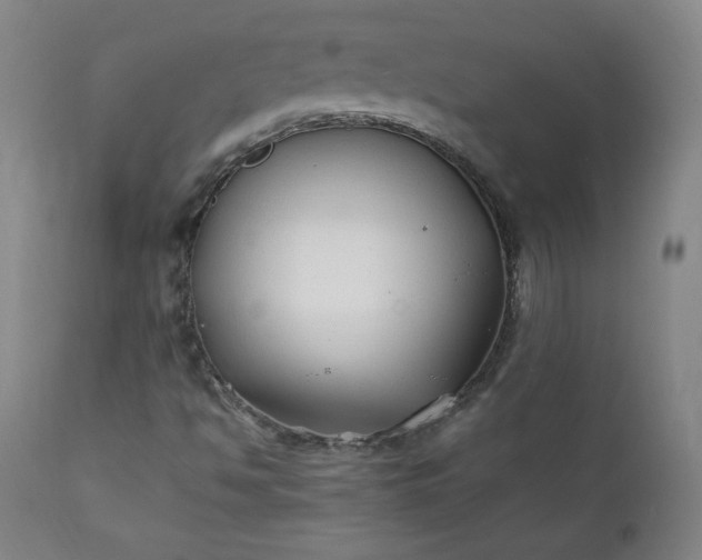 X0000112211494200908211506