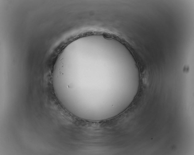 X0000112211495200908211506