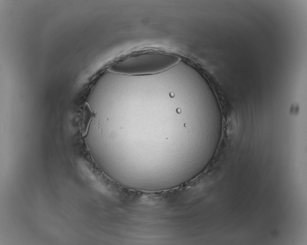 X0000112211496200908211506