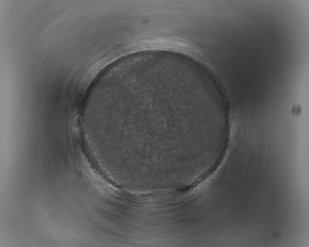 X0000112211497200908211506