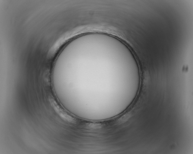 X0000112211499200908211506