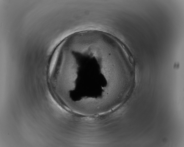 X0000112211500200908211506