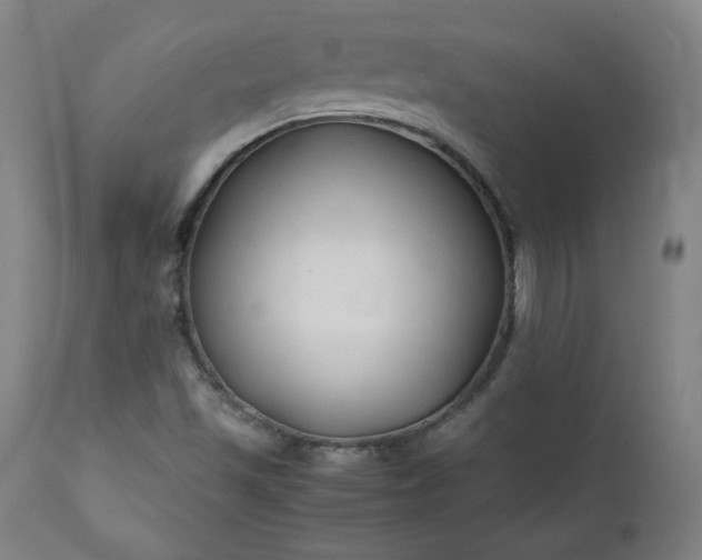 X0000112211501200908211506