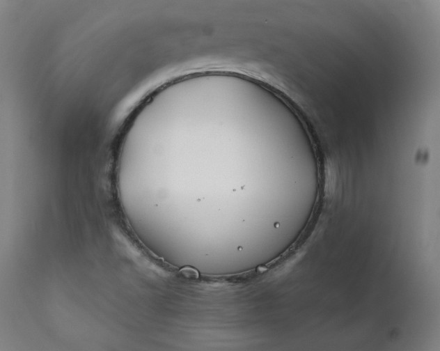 X0000112211502200908211506