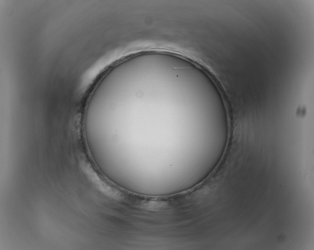 X0000112211503200908211506