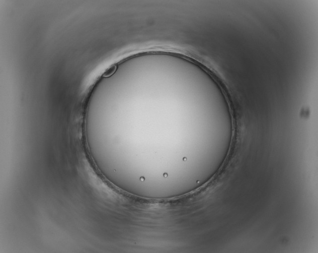 X0000112211504200908211506