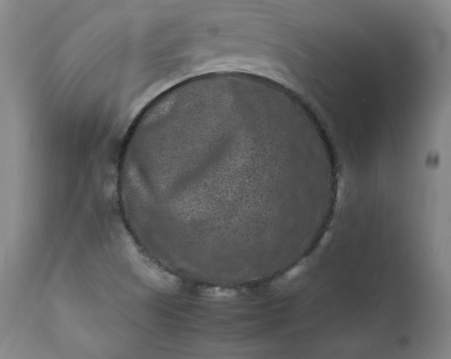 X0000112211505200908211506