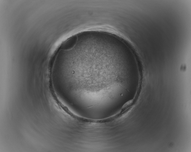 X0000112211506200908211506