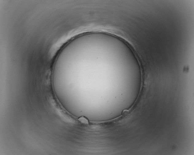 X0000112211507200908211506