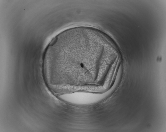 X0000112211508200908211506