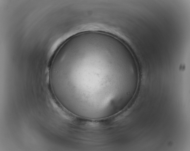 X0000112211509200908211506