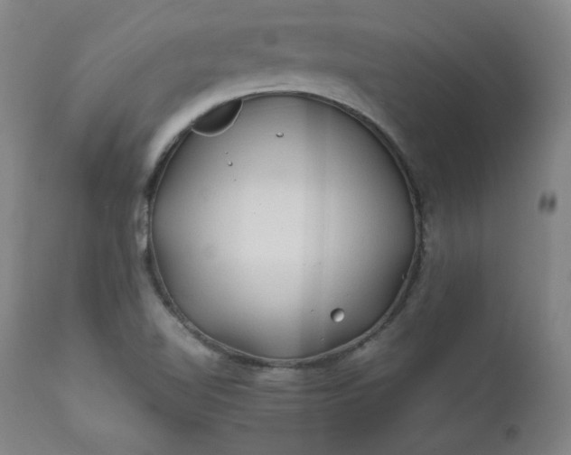 X0000112211510200908211506