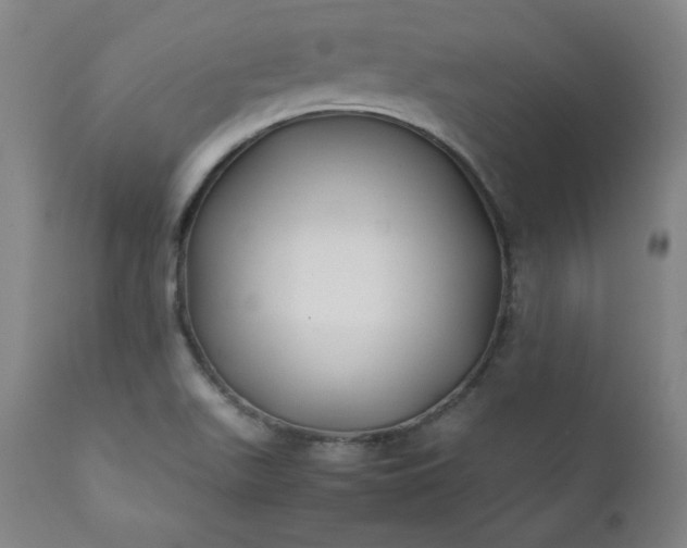 X0000112211511200908211506