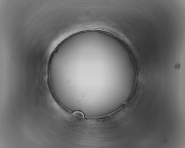 X0000112211512200908211506