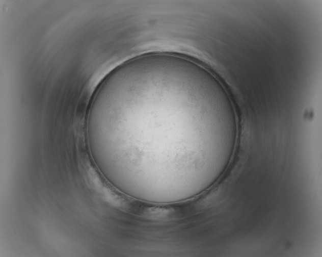 X0000112211513200908211506