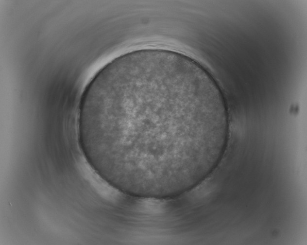 X0000112211514200908211506