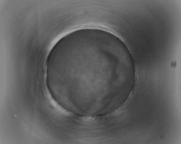 X0000112211515200908211506