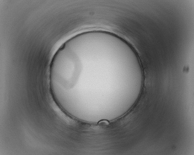 X0000112211516200908211506