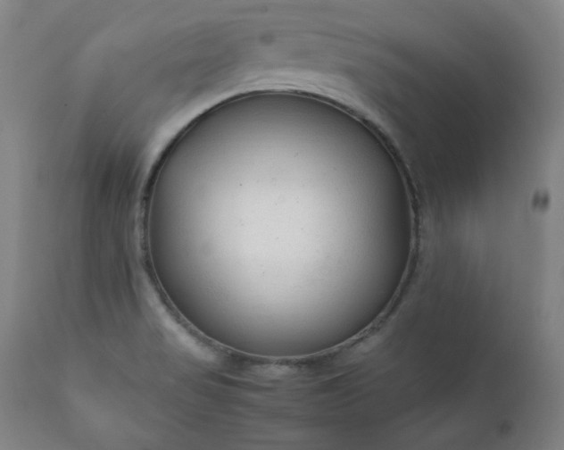 X0000112211517200908211506