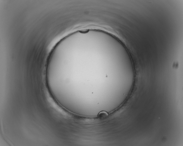 X0000112211518200908211506