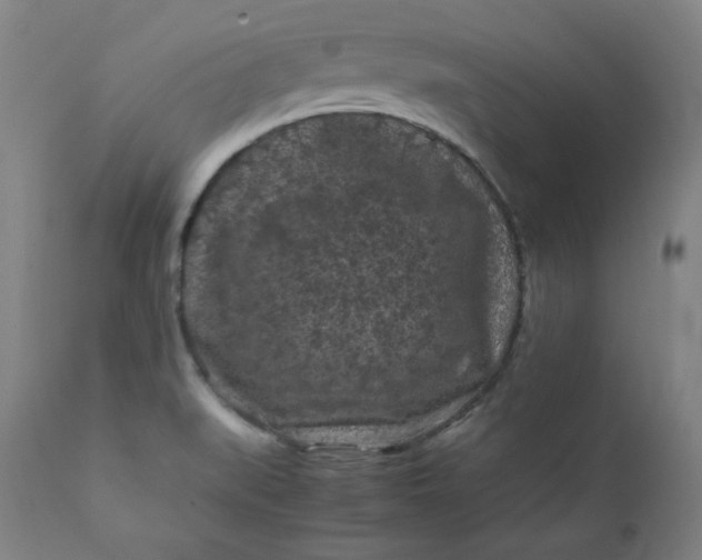 X0000112211519200908211506