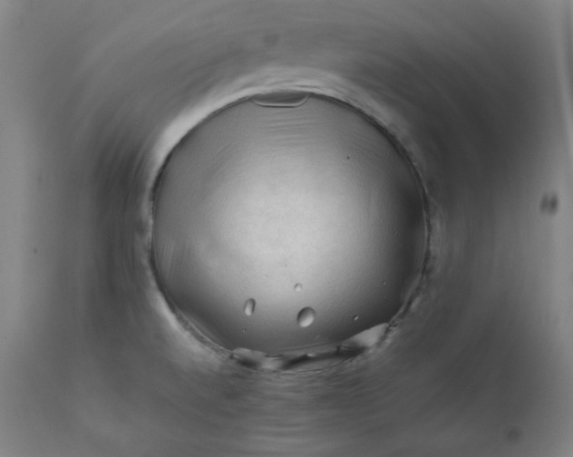 X0000112211520200908211506