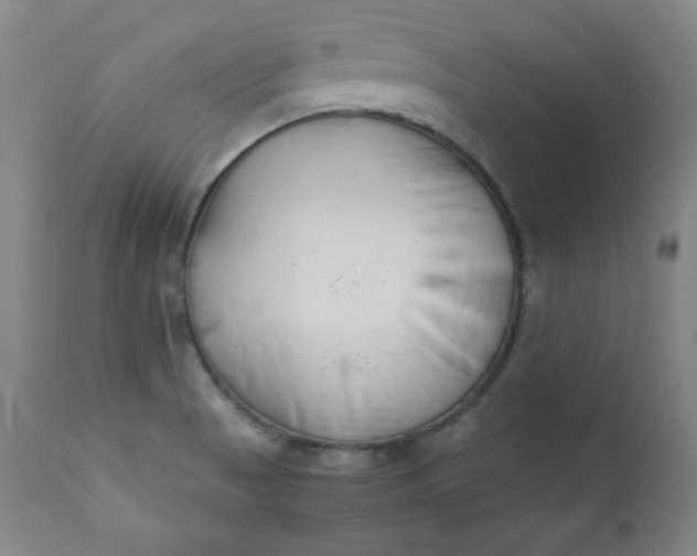 X0000112211521200908211506