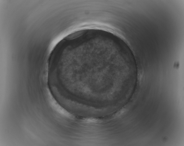 X0000112211522200908211506