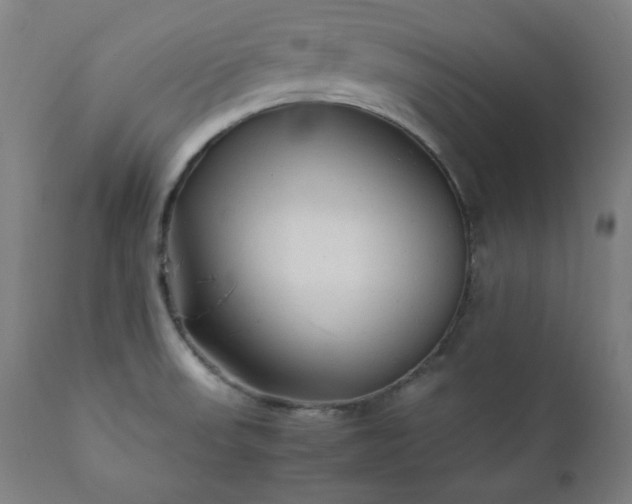 X0000112211523200908211506