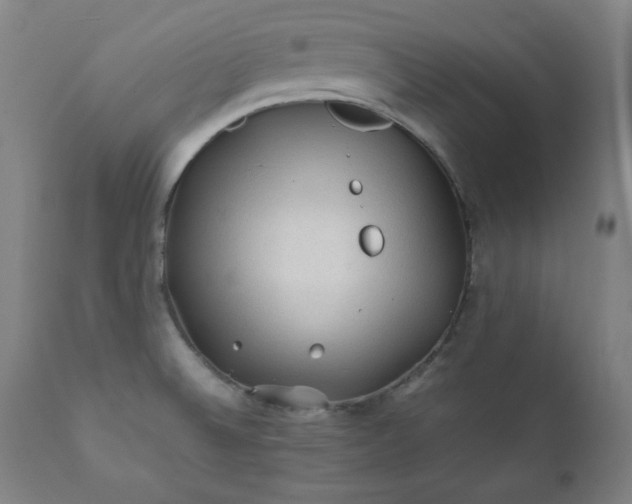 X0000112211524200908211506