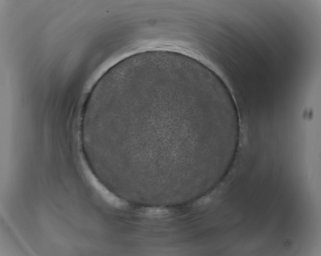 X0000112211525200908211506