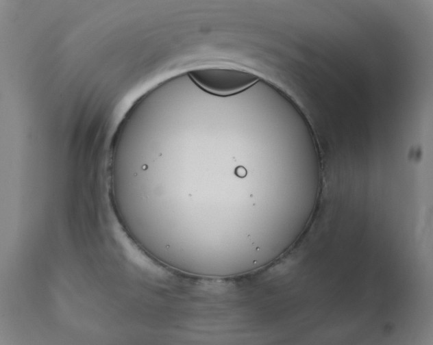 X0000112211526200908211506