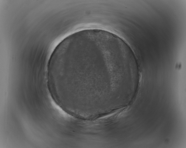 X0000112211527200908211506